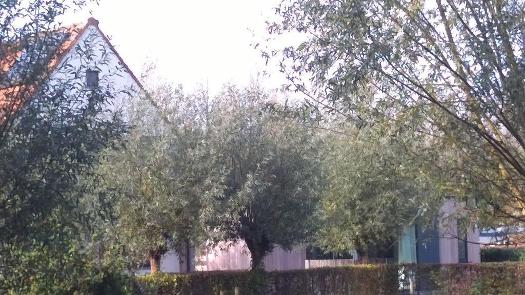 B&B Hier En Nu Heusden Luaran gambar