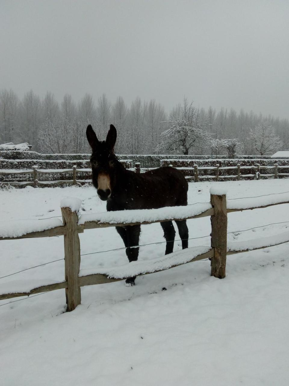 B&B Hier En Nu Heusden Luaran gambar